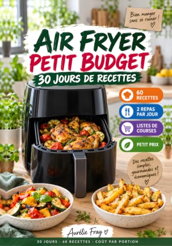 Air Fryer Petit Budget
